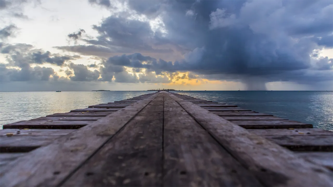 Logo AdPulse - Agence digitale Nouvelle-Calédonie